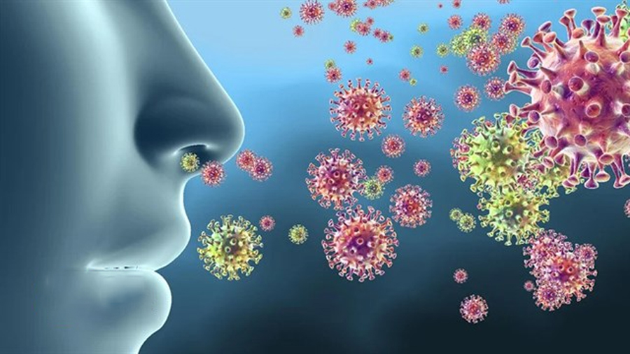 Có nhiều nguyên nhân gây nên polyp mũi, bao gồm có nhiễm khuẩn, do các bệnh lý và cả yếu tố di truyền.