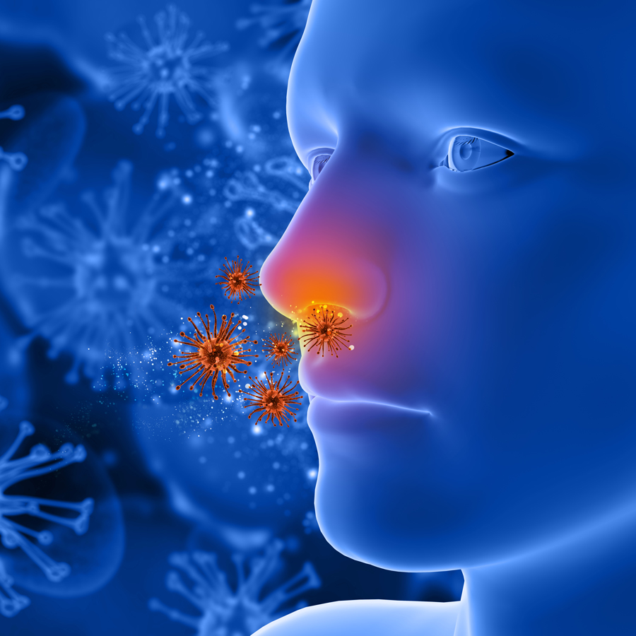 Nên có những hiểu biết nhất định về bệnh viêm mũi dị ứng.
