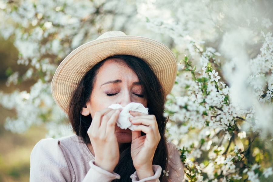 Nguyên nhân của viêm xoang mũi dị ứng do các tác nhân trong môi trường, không phải do virus hay vi khuẩn.